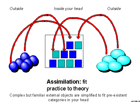 The Concept of Assimilation