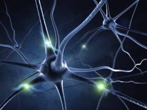 How Many Neurons Are in Our Brain