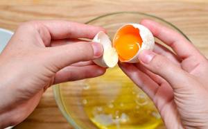 How  Make Eggnog