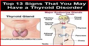 Healing for Your Thyroid