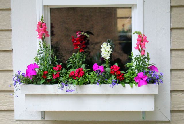 Window Plant Box Garden